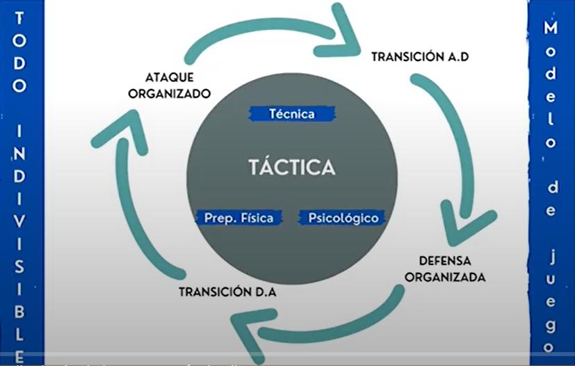 Periodización táctica